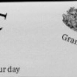 Meet your Posher, Wyatt